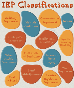 IEP Classification Categories